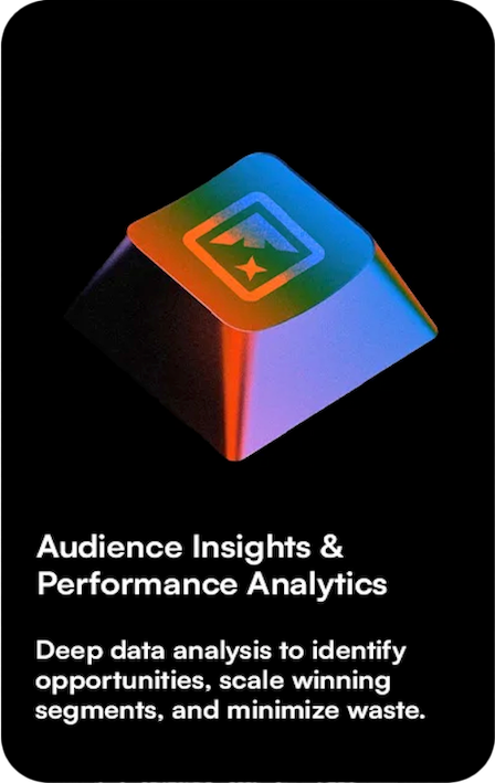 Audience Insights & Performance Analytics